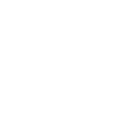fl-single-icon